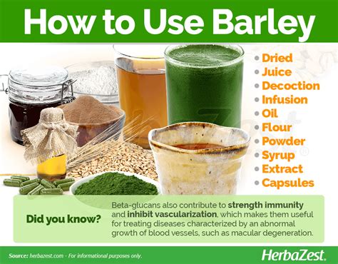 ways to use barley