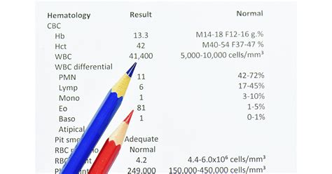 Understanding Why Your WBC is High: Causes, Risks, and What You Can Do