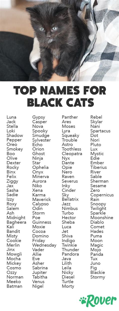 wcue names for a black cat