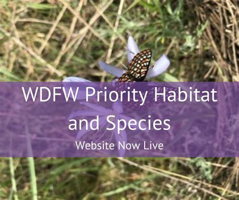 wdfw priority habitats and species list