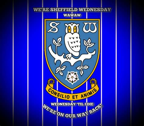 we are sheffield wednesday
