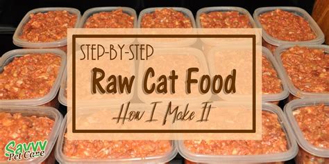 we feed raw cat food