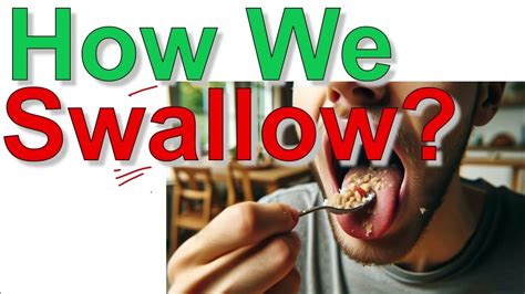 we swallow 6