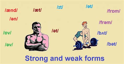 weak and strong forms of words