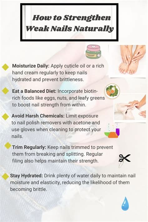 Weak Nails Vegetarian