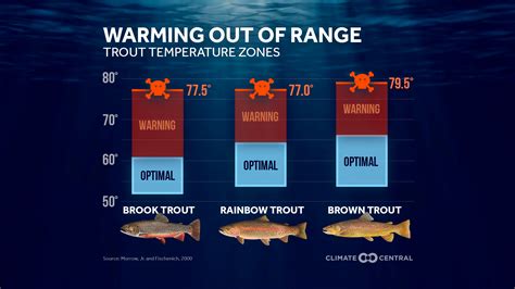 Weather conditions for fishing trout