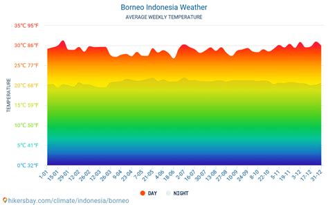 weather in borneo today