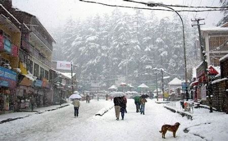 weather in manali today