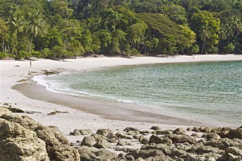 weather in manuel antonio