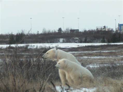 weather network churchill manitoba