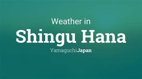 weather underground shingu japan