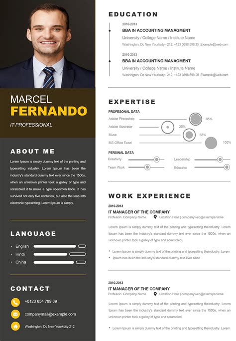 Web Developer Resume Examples {Created by Pros