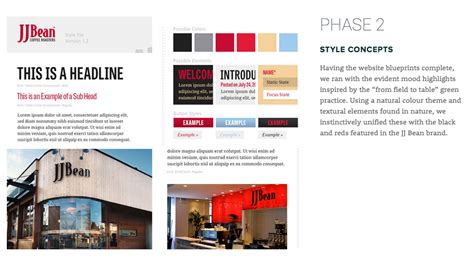 web design case study examples