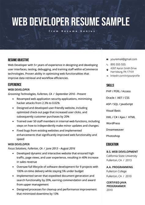 web developer cv description
