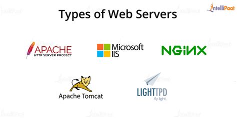 web servers examples
