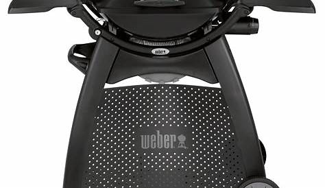 Weber Gasgrill Q 2200 Black Gas Grill And Stand Braais