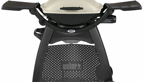 Weber Grill Q2000 Gas And Stand Lowest Prices Specials Online