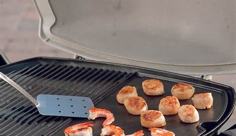 Weber Q2000 Griddle Campaquip Plate For Q200