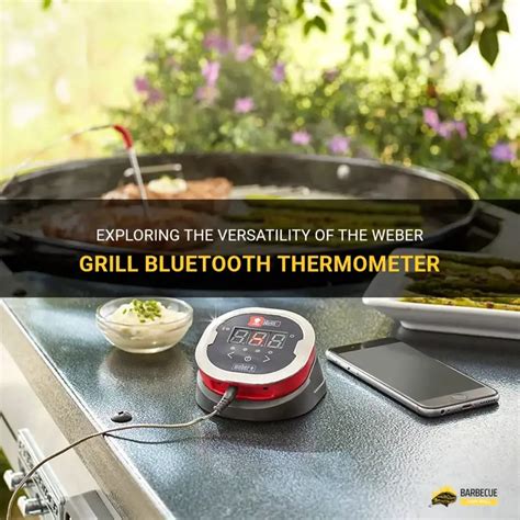 Weber Bluetooth Thermometer Instructions