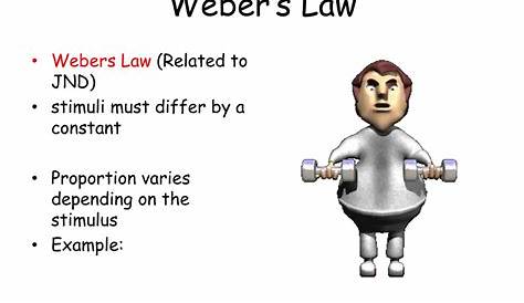 Webers Law Definition And Example Weber’s