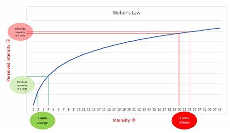 Webers Law Graph Breakdown Of Weber's For Short Controlled Sound