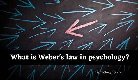 What Is Weber S Law In Psychology Example slidedocnow