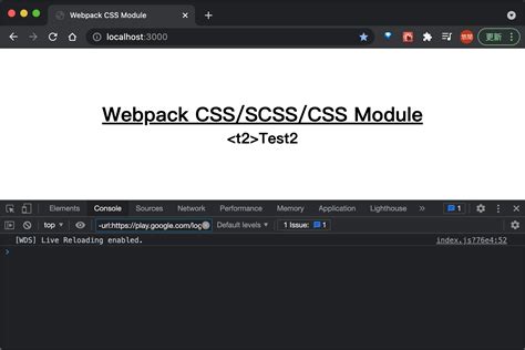 webpack module rules use