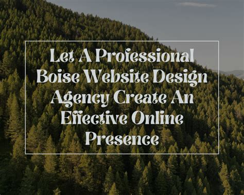website design boise