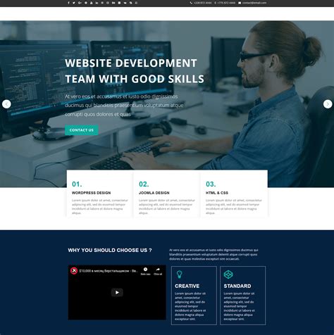 website developer wordpress theme