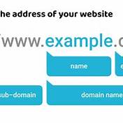 website domain name