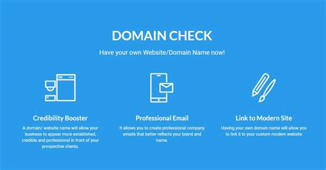 website domain name check