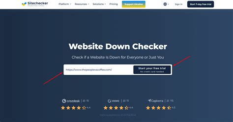 Website down status checker tool