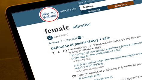 webster dictionary gender