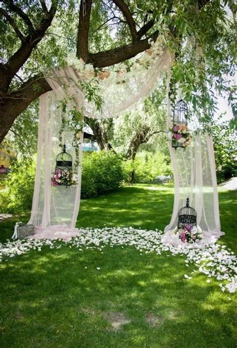 Wedding Arch In Backyard