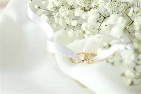 Wedding Background White
