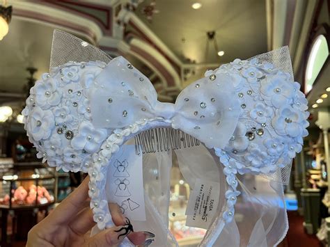 11+ Wedding Mickey Ears
