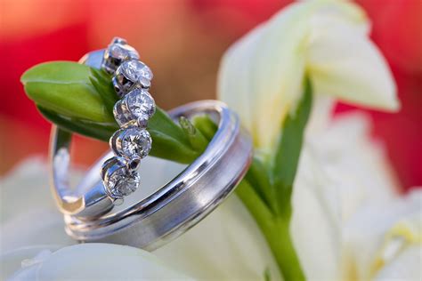 todonovelas.info:wedding rings san diego