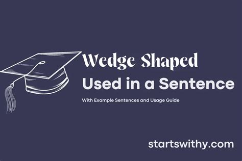 Wedge Sentence Examples