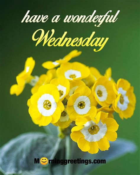 wednesday good morning greeting messages
