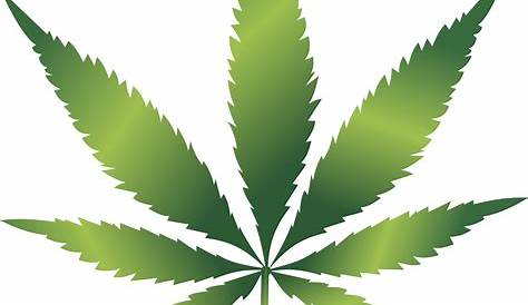 Weed Leaf PNGs for Free Download