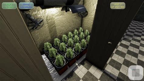 weed farm game features