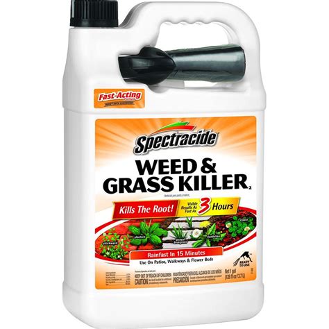 Weed Killer For Quick Grass