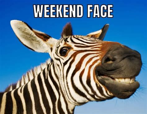 Weekend Meme