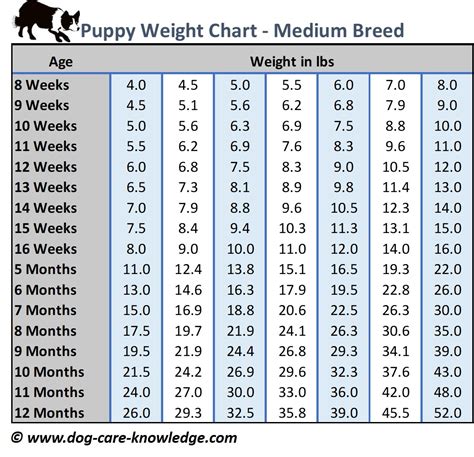 Weight Chart For Medium Dogs