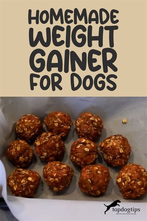 Weight Gain Dog Biscuits