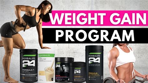 Weight Gain Program Herbalife