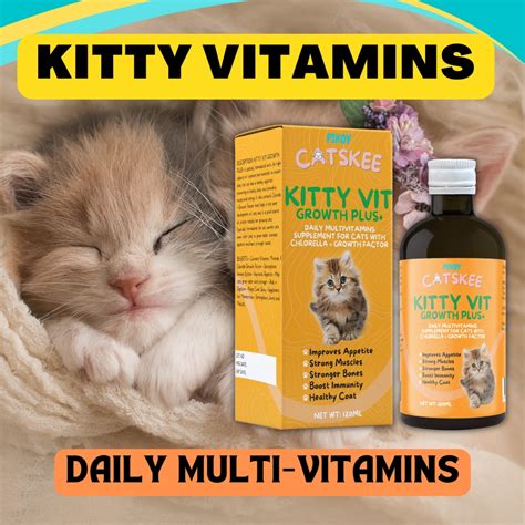 Weight Gain Supplements For Kittens
