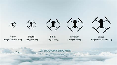 Weight Limit For Flying