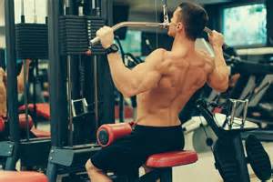 Weight Training For Your Back