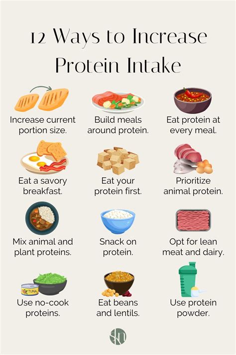 Weight Training Protein Intake